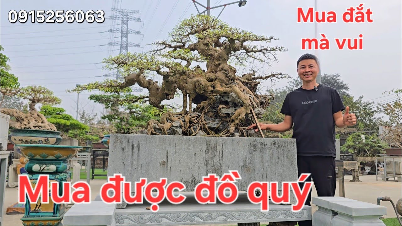 Vượt hơn 100km đến xem Tín Trang mua được cây quý về vườn.