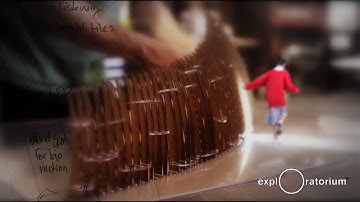 Living Innovation Zone - Exploratorium