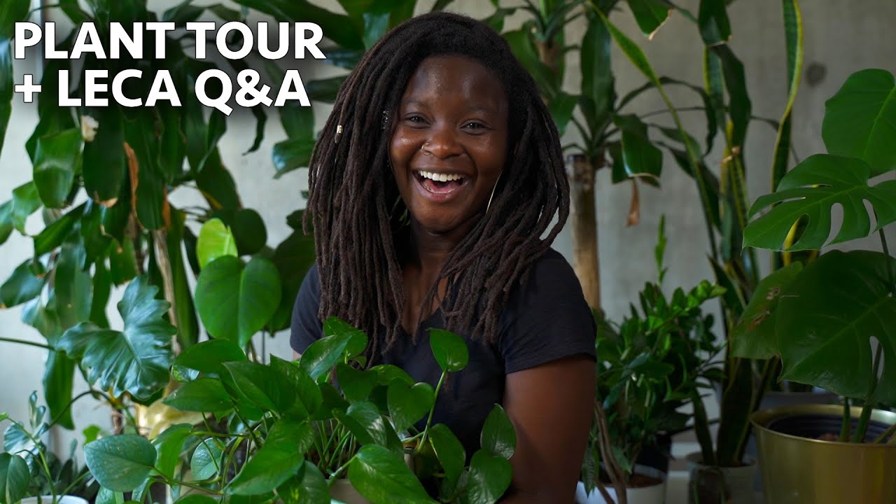 House Plant Tour 2021 // EPIC LECA Q&A 