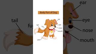 #body part of dog#dog #learn #kindergarten #preschool #viral #viralvideo #shorts #shortsvideo