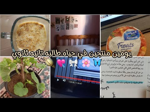 يومين منتجين في حياه طالبه تانيه ثانوي مذاكره 7 ساعات ازاي نلم المتراكم