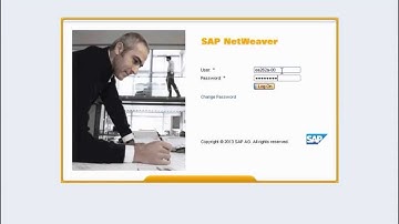 SAP BPC 10.1 