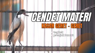 cendet gacor materi mewah kasar geret geret