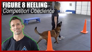 Figure 8 Heeling for Competitive Dog Training
