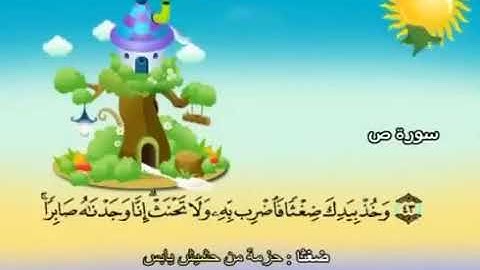 سورة ص 43 47