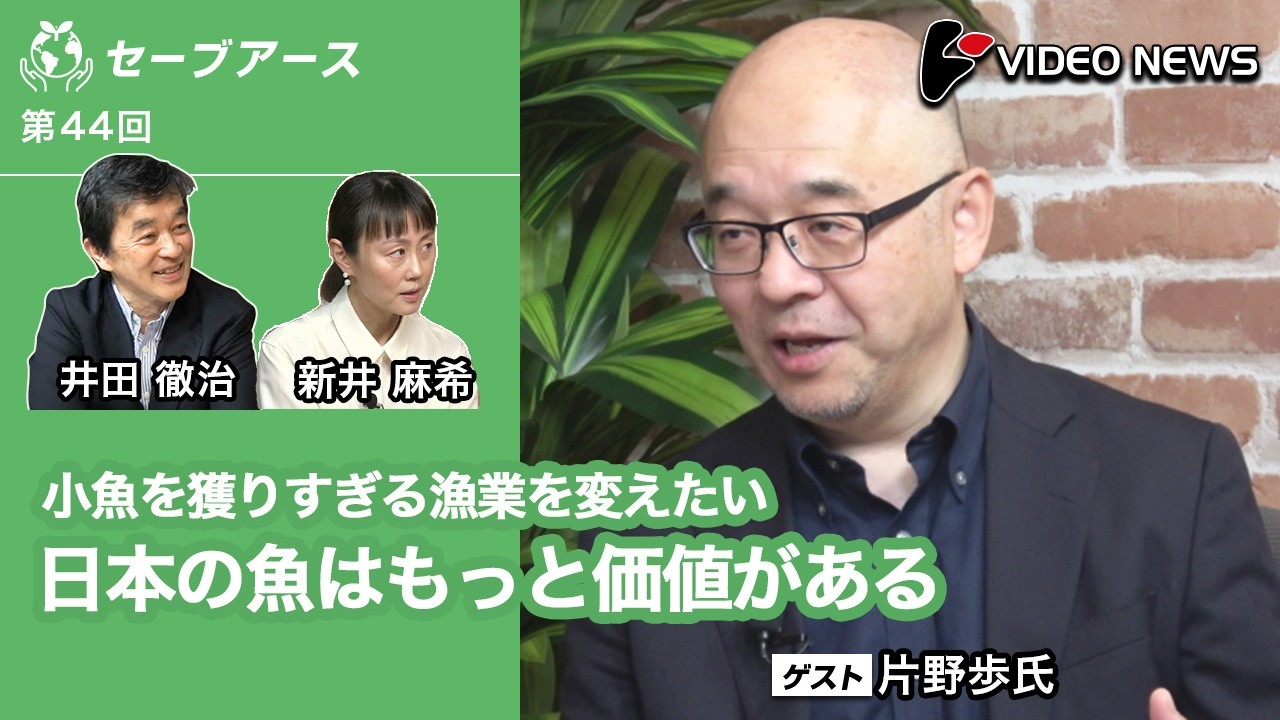 片野歩×井田徹治×新井麻希：日本の魚はもっと価値がある【ダイジェスト】