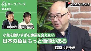 片野歩×井田徹治×新井麻希：日本の魚はもっと価値がある【ダイジェスト】