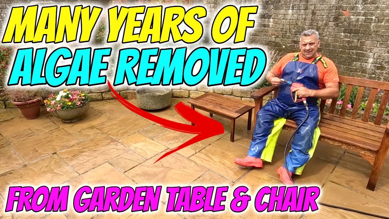 I Tried Every Algae Removal Method So You Don't Have To