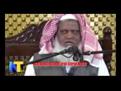 Dil cheer dene wali Naat Sharif   Qari Ahsan mohsin   YouTube