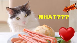 What Human Food Can Cats Eat Everyday ❤️ Human Foods You Can Share With Your Cat