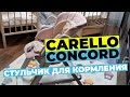 Carello Concord обзор стульчика для кормления