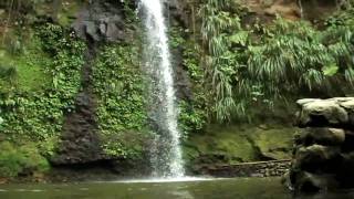 St.Lucia Nature Montage-Excerpt 2 HD