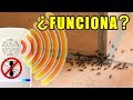 ¿Funcionan los anti-hormigas eléctricos? | Experimentos con Mike