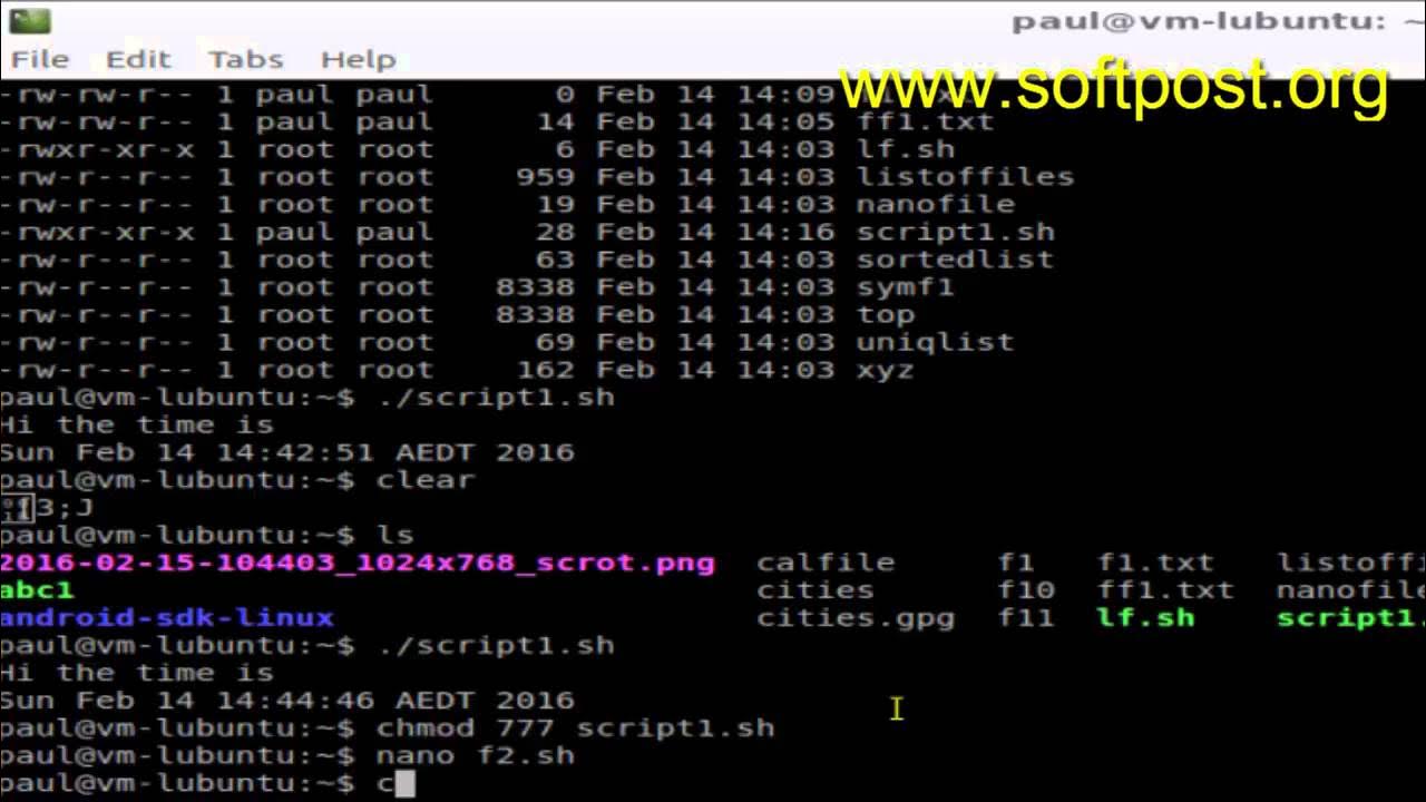 Linux файлы run. Sh люникс. как запустить скрипт в linux. запустить файл bash. sh файл.