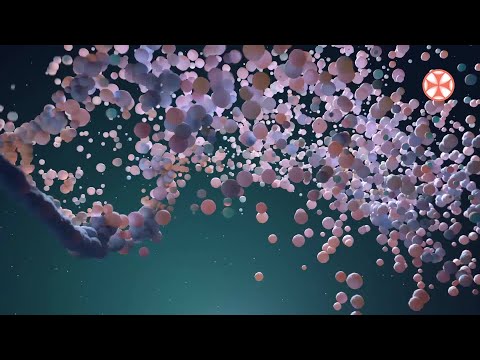 მეცნიერებმა შავი ჭირის წარმოშობა დაადგინეს