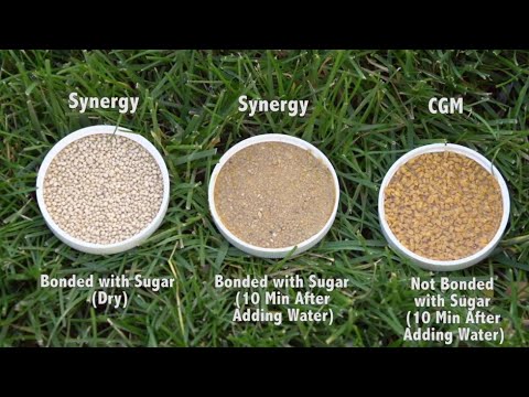 5 Reasons Why Corn Gluten Meal Didn't Work - Organo-Lawn