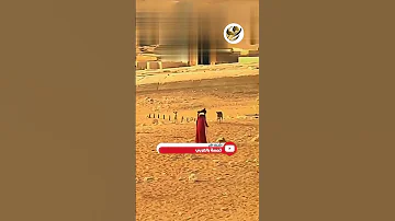الكلاب تهاجم سيدة تعبد الشمس بجوار الأهرامات 