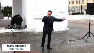 Андрей Сороковой (г.Брянск) – «Илья Муромец»