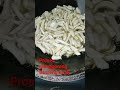 BIKIN BASRENG DAUN JERUK|| ENAK!!! #fyp #reels #basreng #basrengviral #bakso