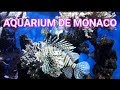 Musée océanographique de Monaco.Magnifiques poissons multicolores.