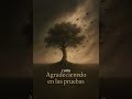 Agradeciendo en las pruebas