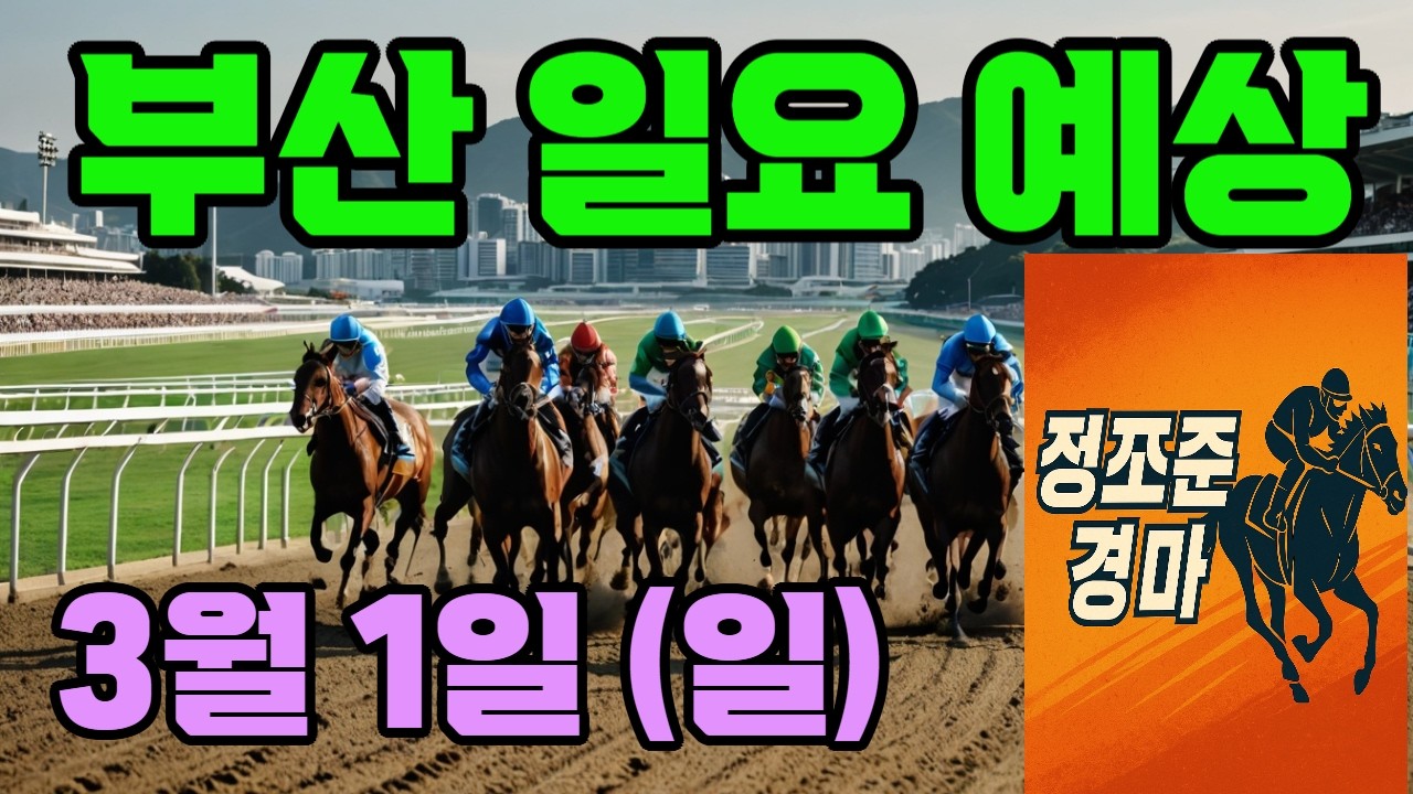 3월 1일 부산 일요 예상 !!! 🔴 제주·서울·부산 경마 고배당 가능성 분석｜정조준 AI 경마 명승부 예측🔴