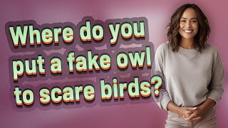Where do you put a fake owl to scare birds?