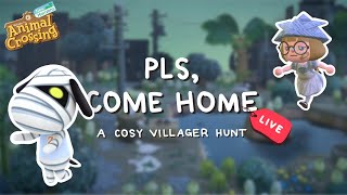 LIVE 🔴 Another cosy 5 AM Villager Hunt + Villager Bingo // Animal Crossing New Horizons