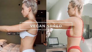 VEGAN SHRED