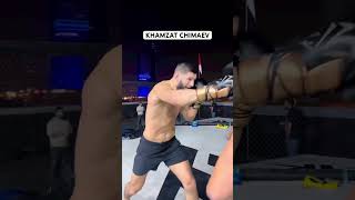 : KHAMZAT CHIMAEV     #mma # #ufc245 ##khamzatchimaev