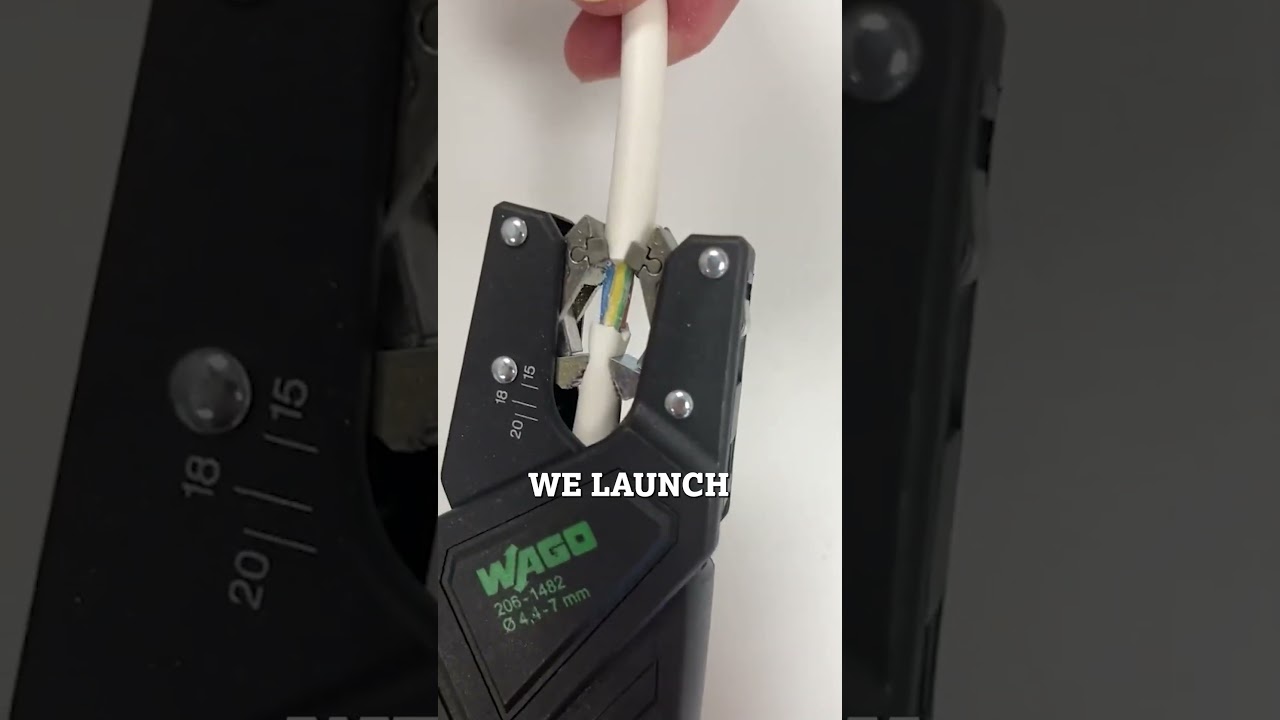 🥳 Celebrate With Us At Elex Ally Pally 🙌 