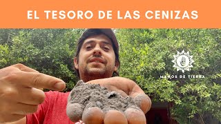 LOS GRANDES BENEFICIOS DE LAS CENIZAS EN EL HUERTO Y JARDÍN - YouTube