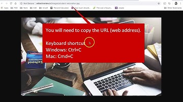 Mahara 04 - Adding an Image to a Text Box