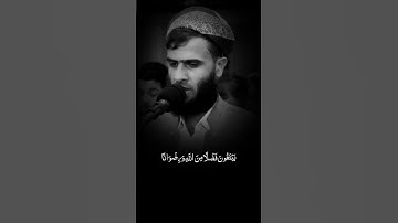 الشيخ رزكار الكردي ( سورة الفتح ) #القران_الكريم_بصوت_جميل #اكسبلور #القران_نور_الحياة_القلوب