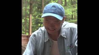 薪割られ【Wood chopping】