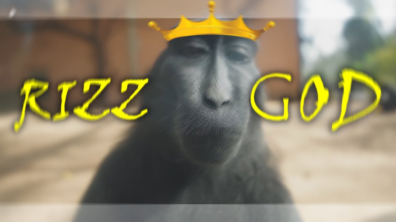Monkey With Rizz