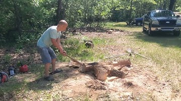 Mus saib kuv tus thaub cov qaib