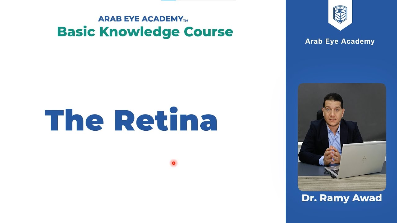 Lecture 12: Retina, Part 1:Introduction.