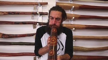 Jesse Lethbridge Didgeridoo key of C#(#3127)