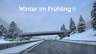 Winter is back! Schneefall im Frühling❄️