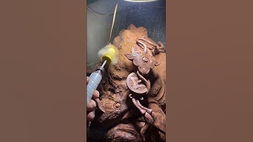 Sự Tích Cóc Ngậm Tiền #woodworking #thiemthu #cocngamtien