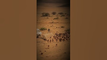 سورة النمل #رمضان_كريم #اكسبلور #رمضانمبارك #دويتو #لايك #رمضان #افكار #المصحف