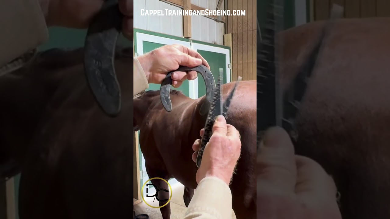 Shaping a Horse Shoe 