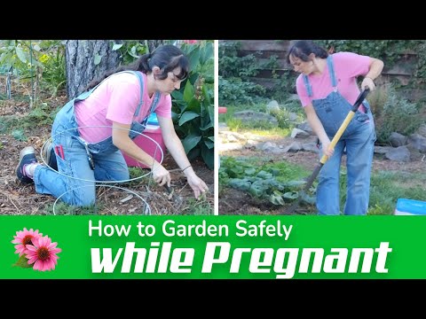 Wideo: Wskazówki ogrodnicze dla kobiet w ciąży – Jak uprawiać ogród podczas ciąży