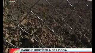 Hortas em Lisboa - Parque Hortícola da Quinta da Granja - SIC