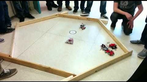 TEJ2O 2014 BeetleBots Project