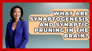 What Are Synaptogenesis And Synaptic Pruning In The Brain? - Brain Development Hub