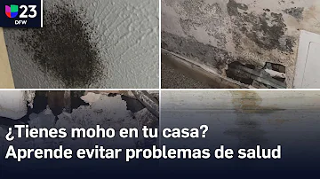 ¿Cómo puedo comprobar si mi casa tiene moho?