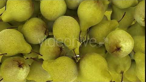 Pear Transition | Motion Graphics - Envato elements