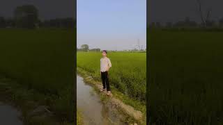 maane kese ke daab nhi